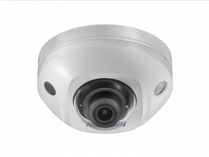 DS-2CD2543G0-IWS